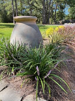 TheLibbyTube's post 2