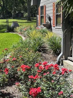 TheLibbyTube's post 3