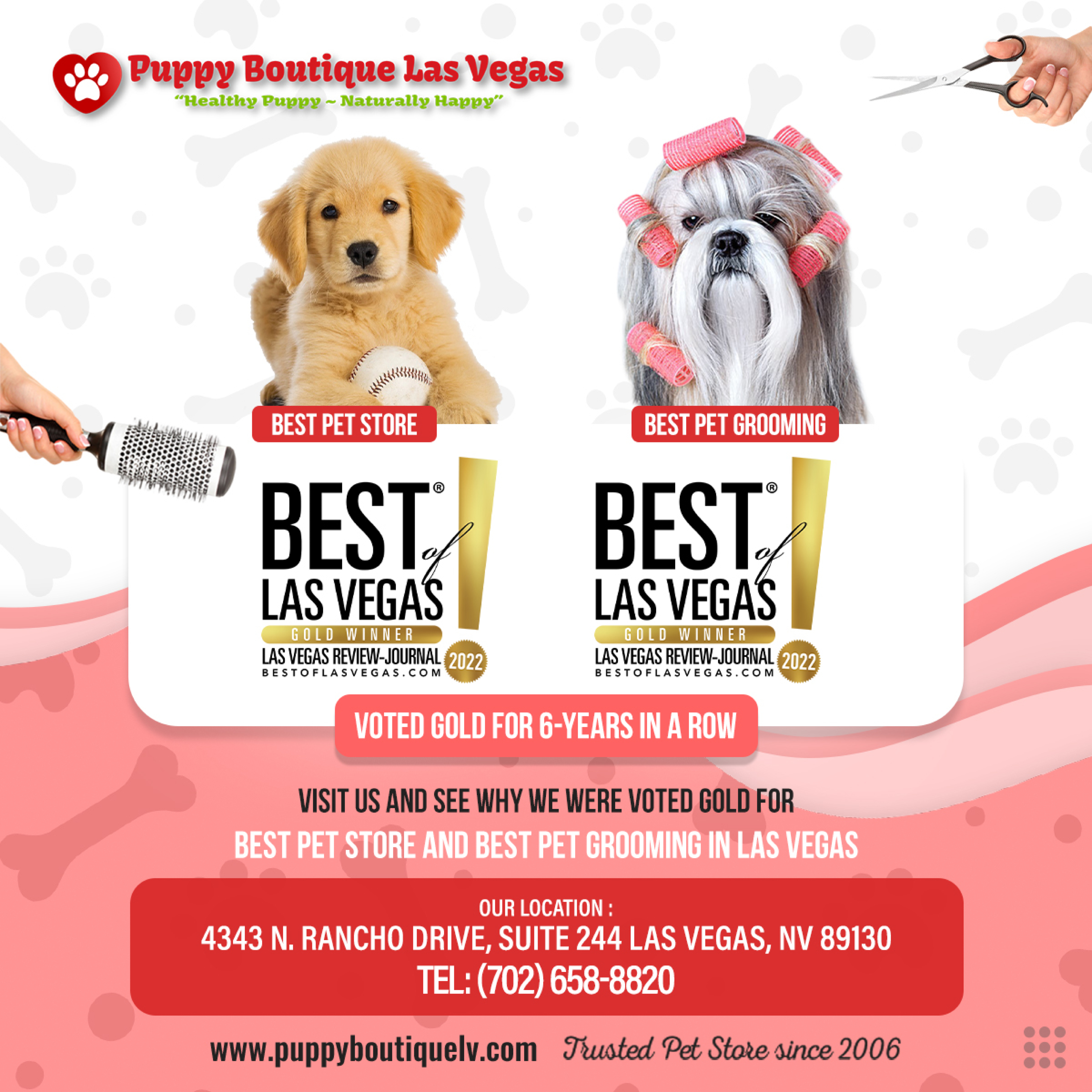 Puppy Boutique Las Vegas reviews | 4343 N Rancho Dr - Las Vegas NV