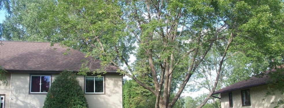 Arbortech Stump and Removal reviews | 6332 Rhode Island Avenue North - Minneapolis MN