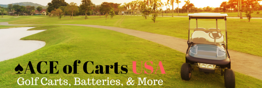 Ace of Carts reviews | 2674 LPGA Blvd - Daytona Beach FL