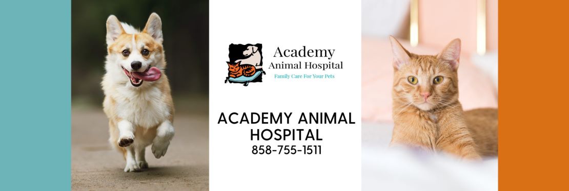 Academy Animal Hospital reviews | 741 Academy Dr - Solana Beach CA