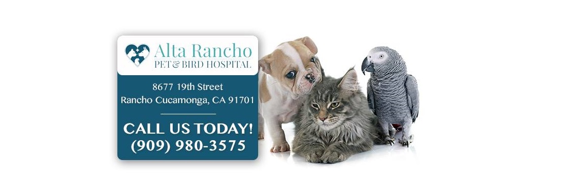 Alta Rancho Pet & Bird Hospital reviews | 8677 19th St - Rancho Cucamonga CA