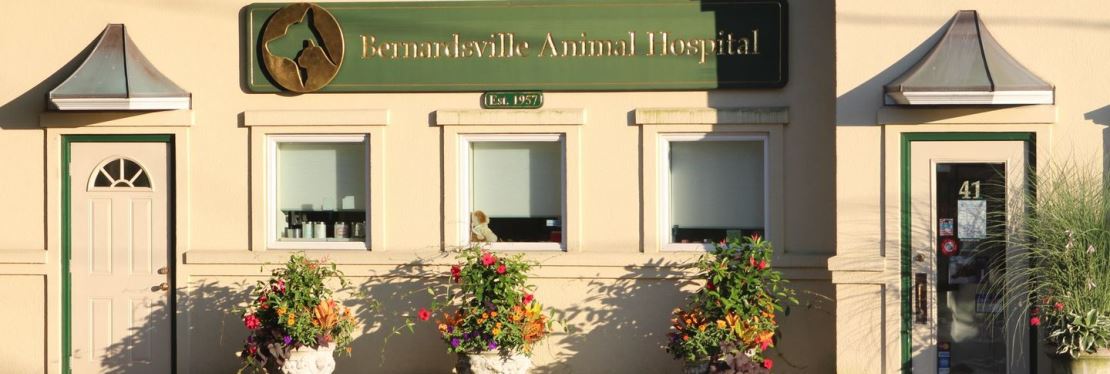 Bernardsville Animal Hospital reviews | 41 Morristown Road - Bernardsville NJ
