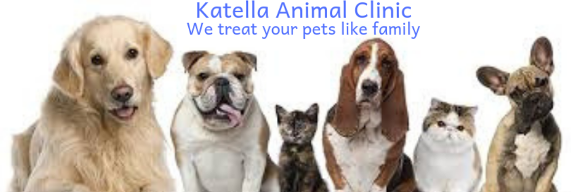 Katella Animal Clinic reviews | 10712 Katella Ave. - Anaheim CA