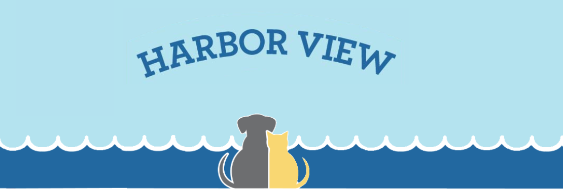 Harbor View Veterinary Hospital reviews | 2304 Boston Street - Baltimore MD