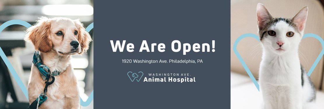 Washington Ave Animal Hospital reviews | 1920 Washington Ave - Philadelphia PA