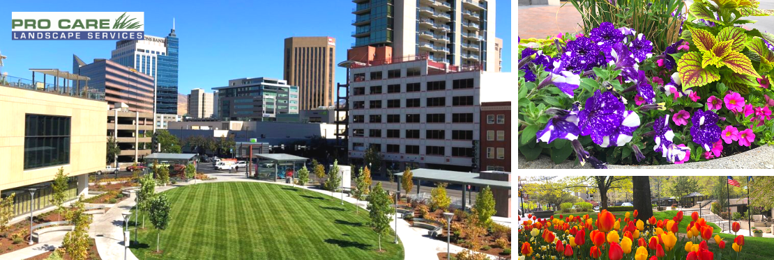 Pro Care Landscape Services reviews | 5121 W Chinden Blvd - Boise ID