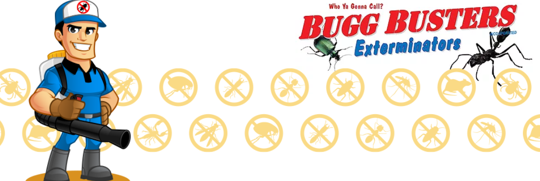 Bug Busters, LLC - Lincolnton, NC reviews | 2863 NC-27 - Lincolnton NC
