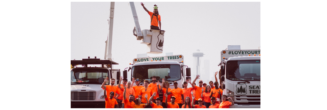 Seattle Tree Care reviews | 4035 23rd Ave W - Seattle WA