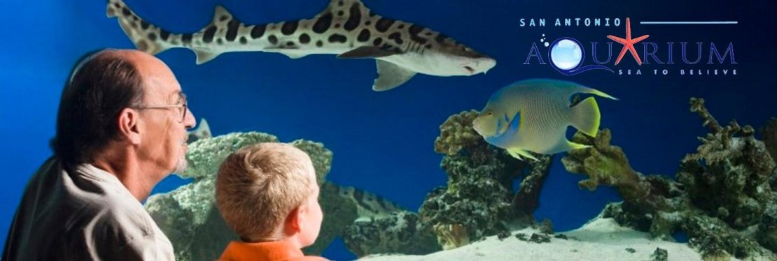 San Antonio Aquarium reviews | 6320 Bandera Rd - Leon Valley TX