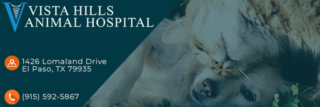 Vista Hills Animal Hospital reviews | 1426 Lomaland Dr - El Paso TX