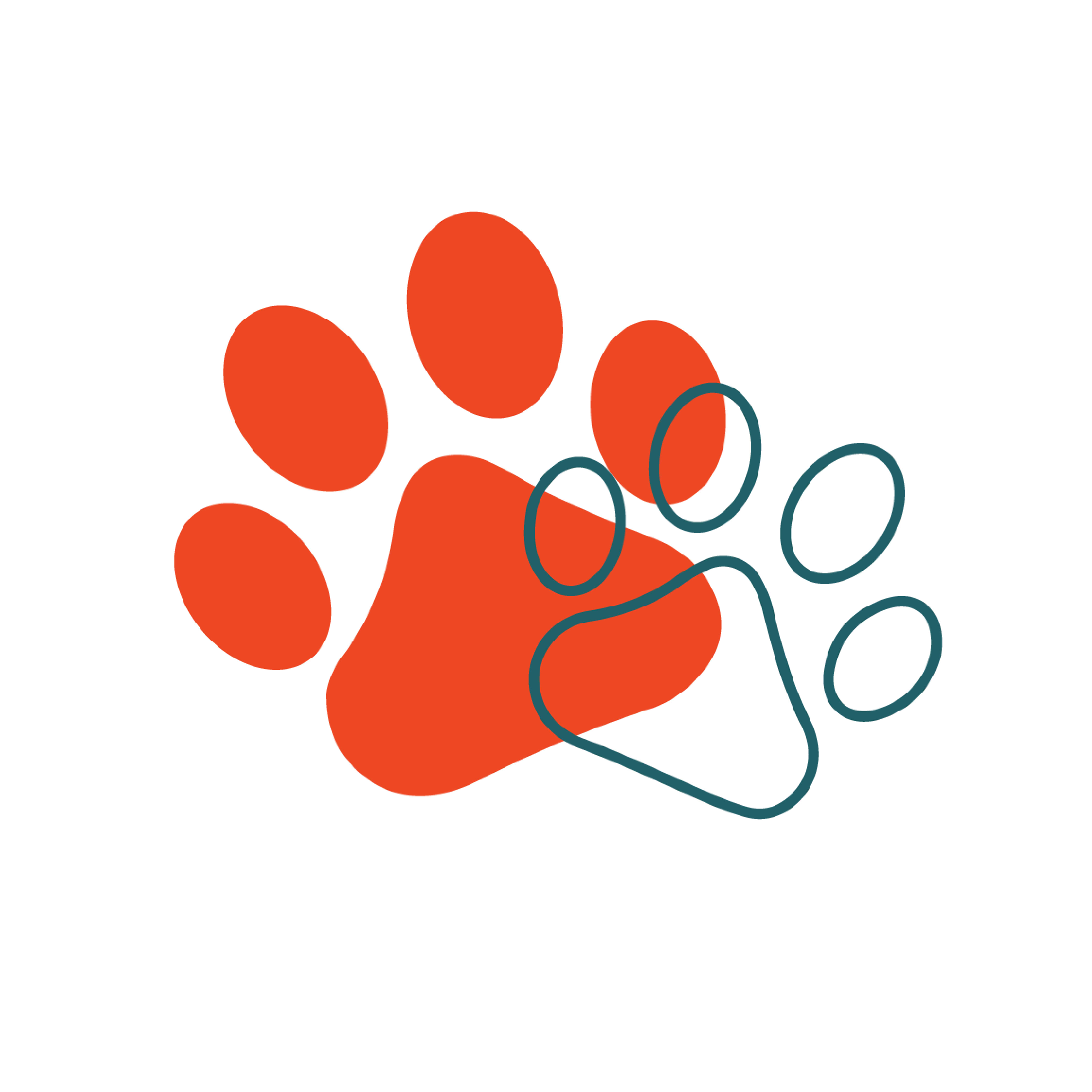 Claws & Paws Veterinary Hospital reviews | 2556 E Broadway St - Pearland TX