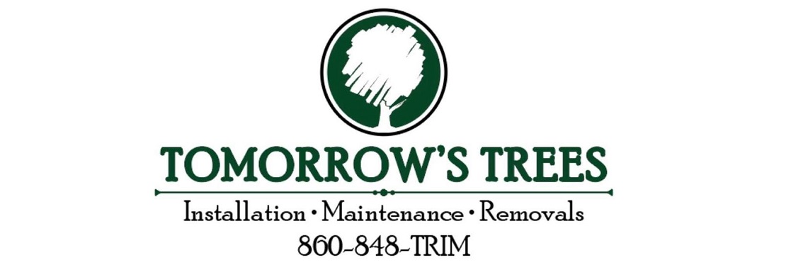Tomorrow's Trees reviews | 467 Chesterfield Rd - Oakdale CT