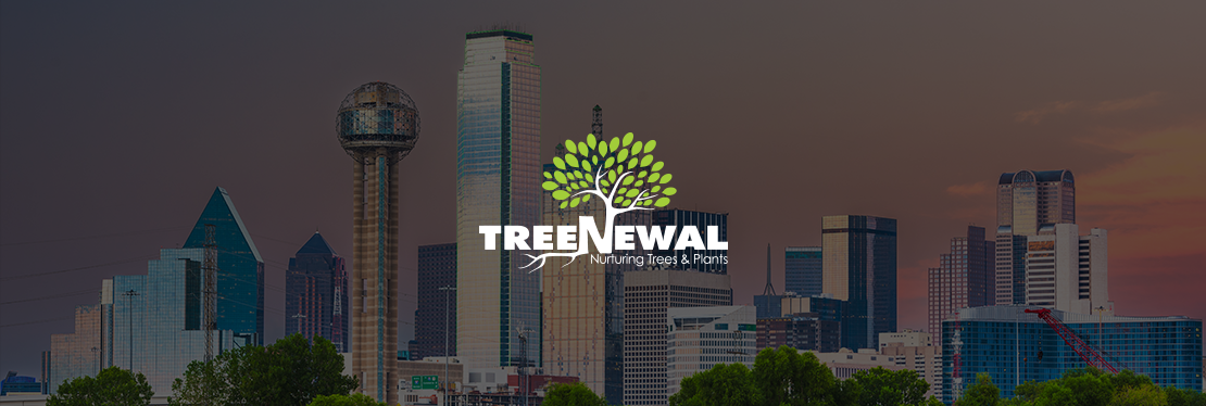 TreeNewal reviews | 1712 FM 407 E - Argyle TX