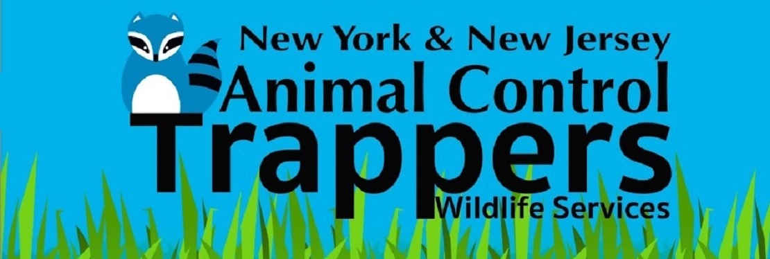 Animal Control NYC reviews | 4400 U.S. 9 - Freehold NJ