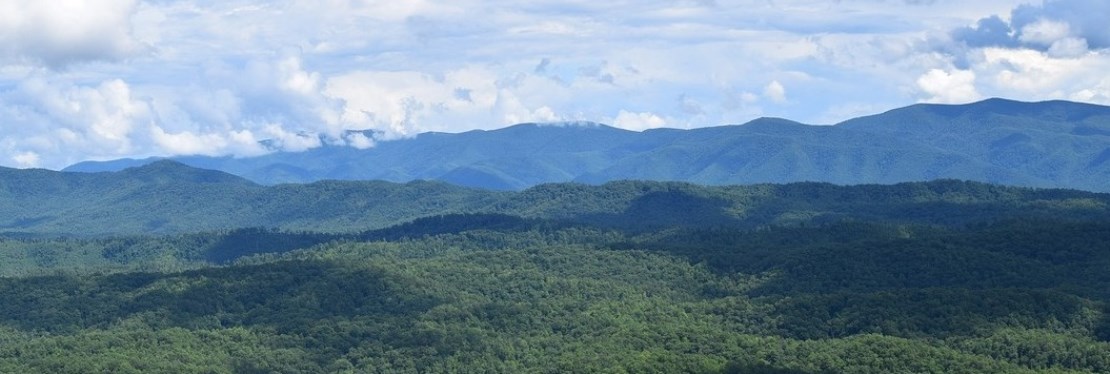 Smoky Mountains Jeep Tours reviews | 2826 Parkway - Pigeon Forge TN