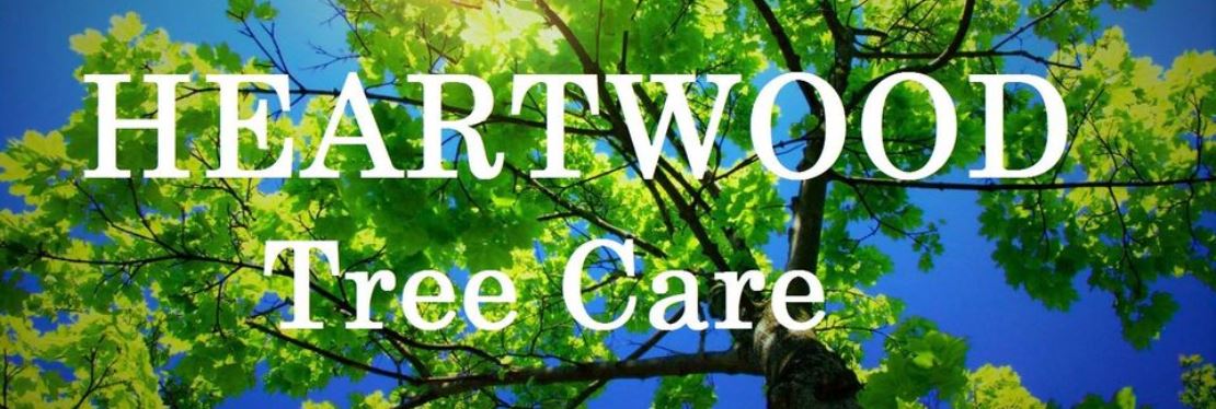Heartwood Tree Care reviews | 2487 S Gilbert Rd - GIlbert AZ