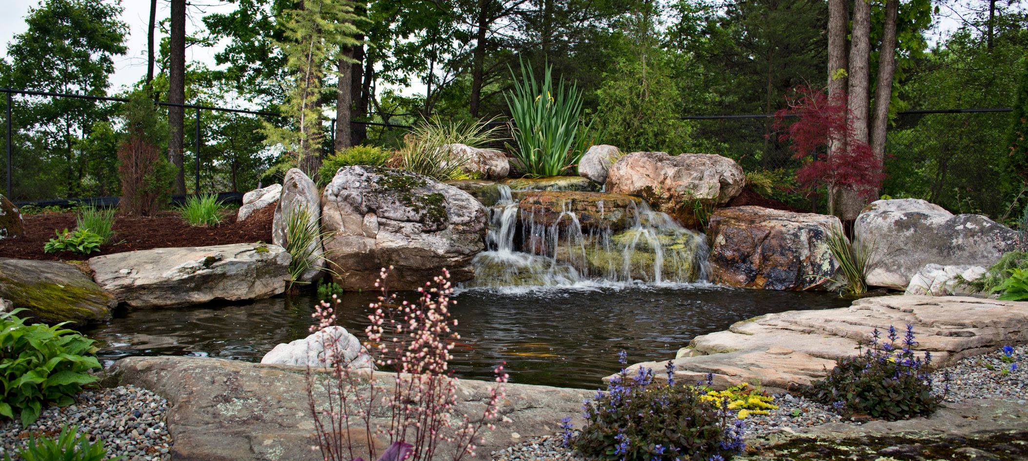 Peaceful Ponds reviews | 9000 Arbor Glen Lane - Charlotte NC