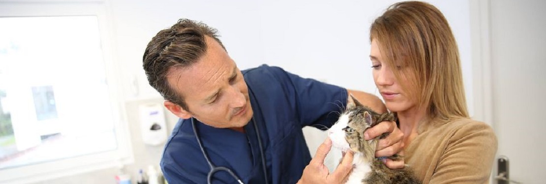 Mariemont Veterinary Clinic reviews | 6892 Murray Ave - Cincinnati OH
